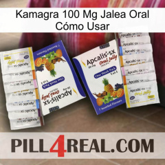 Kamagra 100 Mg Jalea Oral Cómo Usar 12